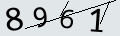 verifycode
